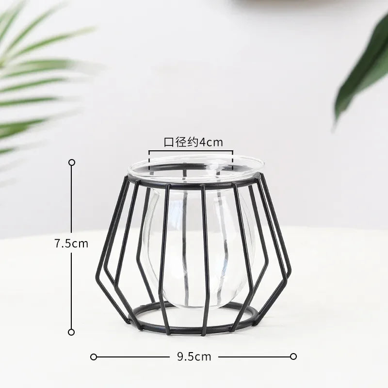Nordic Geometric Glass Vase – Elegant Hydroponic Plant Holder for Minimalist Modern Home Decor