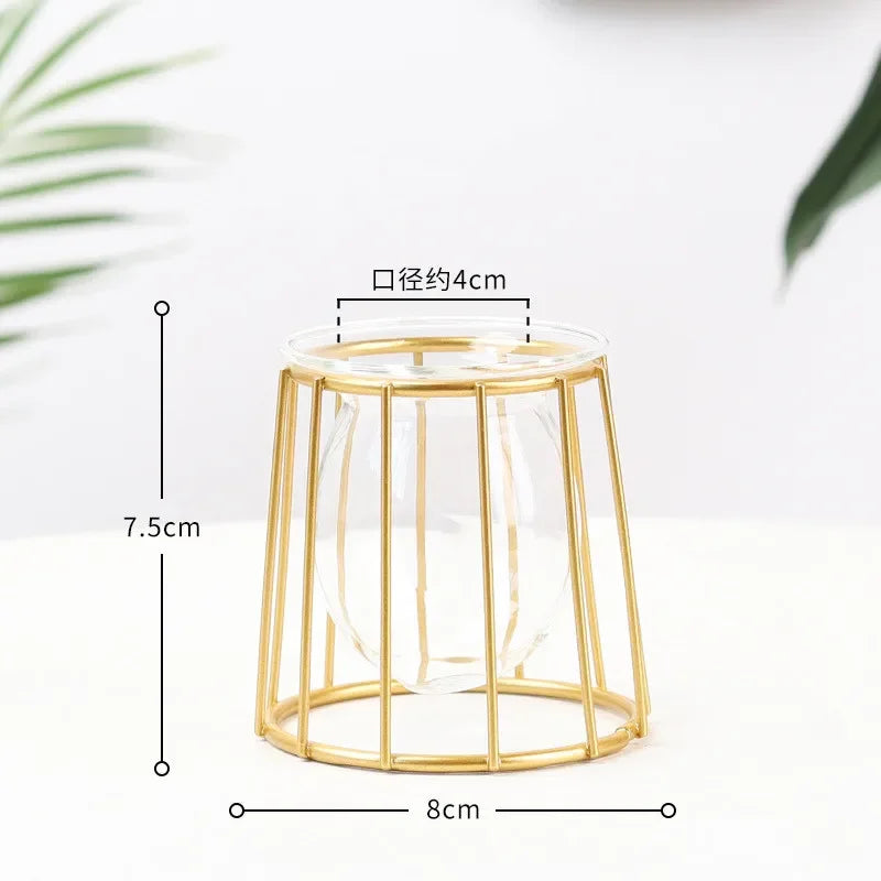 Nordic Geometric Glass Vase – Elegant Hydroponic Plant Holder for Minimalist Modern Home Decor