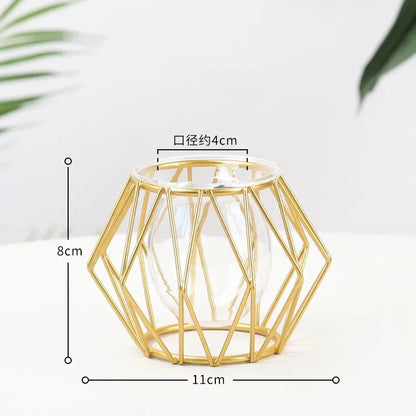 Nordic Geometric Glass Vase – Elegant Hydroponic Plant Holder for Minimalist Modern Home Decor