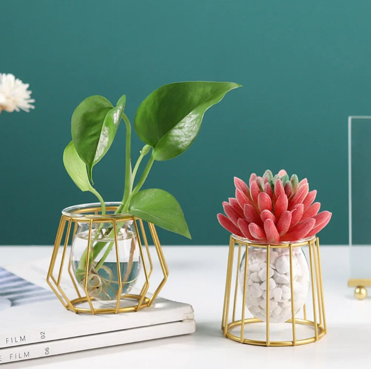 Nordic Geometric Glass Vase – Elegant Hydroponic Plant Holder for Minimalist Modern Home Decor