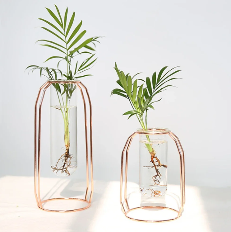 Nordic Geometric Glass Vase – Elegant Hydroponic Plant Holder for Minimalist Modern Home Decor