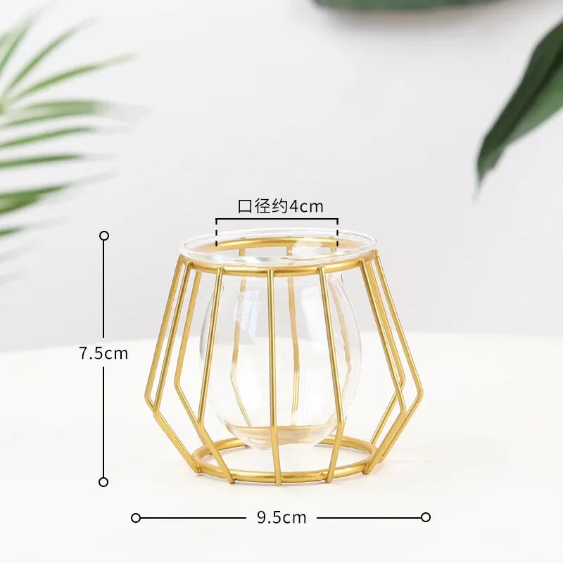 Nordic Geometric Glass Vase – Elegant Hydroponic Plant Holder for Minimalist Modern Home Decor