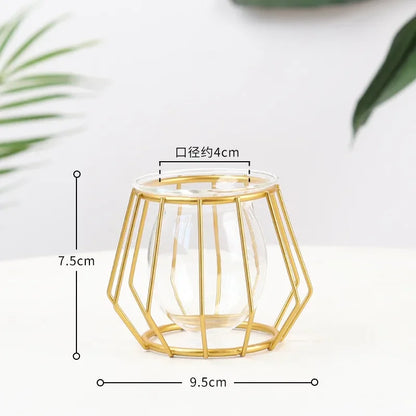 Nordic Geometric Glass Vase – Elegant Hydroponic Plant Holder for Minimalist Modern Home Decor
